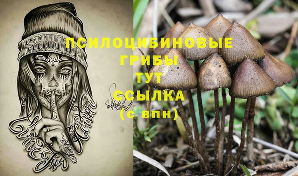 таблы Алексеевка
