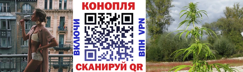 Шишки марихуана сатива  закладка  Липки 